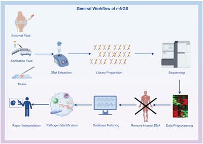 Optimal selection of specimens for metagenomic next-generation sequencing in diagnosing periprosthetic joint infections